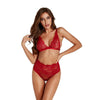 Sexy” stretch lace sexy bra set