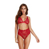 Sexy” stretch lace sexy bra set